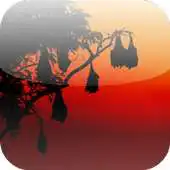 Free play online True Cave Bat Race APK