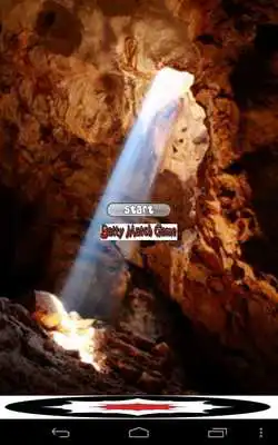 Play True Cave Bat Race