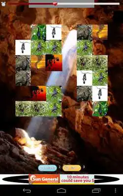 Play True Cave Bat Race