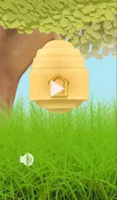 Play True id Name  Adress