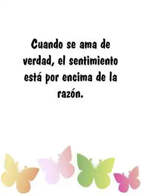 Play True love quotes in Spanish
