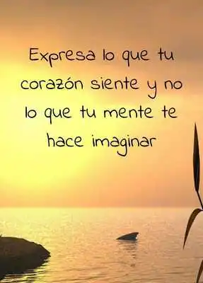 Play True love quotes in Spanish