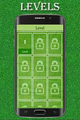 Play True Or False Mind Teaser