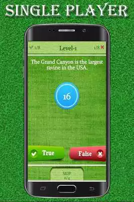 Play True Or False Mind Teaser
