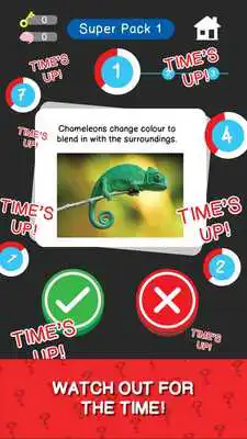 Play True or False Trivia Facts