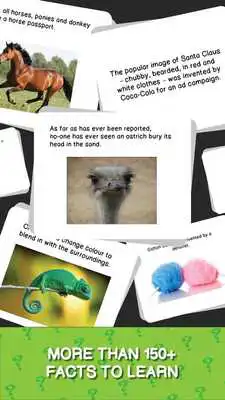 Play True or False Trivia Facts