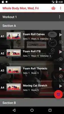 Play True Primal Fitness