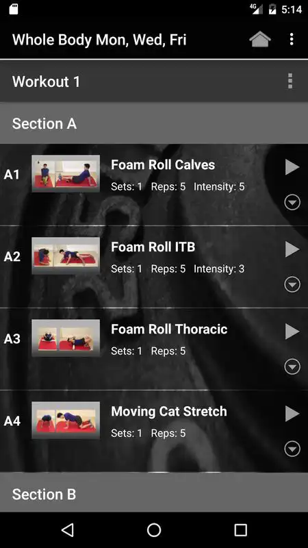 Play True Strength Online Training