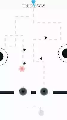 Play True Way