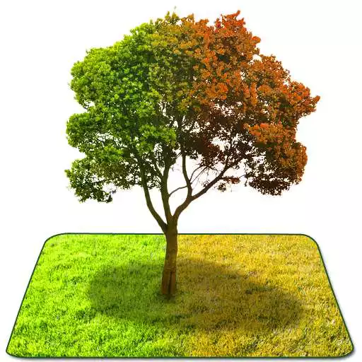 Free play online True weather 3D APK Free play online True weather 3D APK