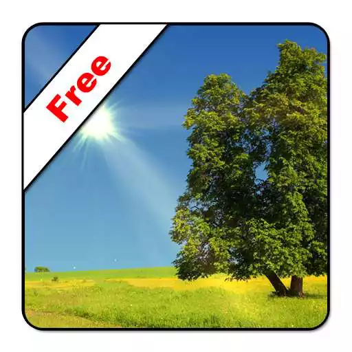 Run free android online True Weather LWP Free APK Run free android online True Weather LWP Free APK