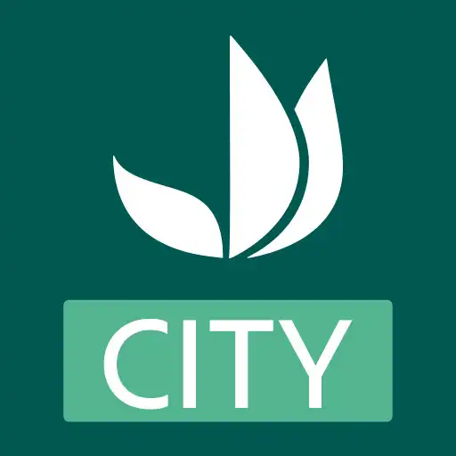 Play Truffaut.city APK