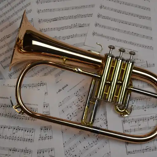 Play Trumpet sound effect APK