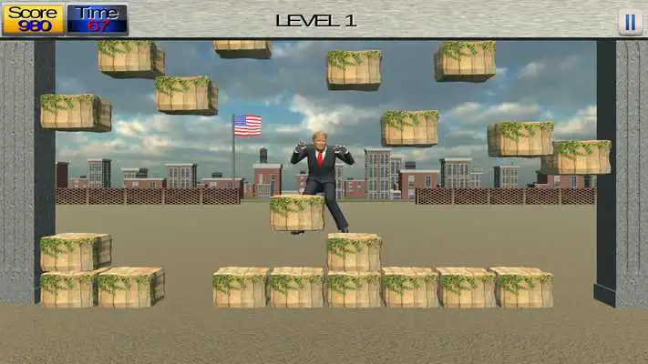 Play Trump Wall 3D