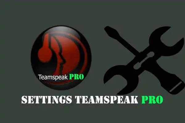 Play TS3 TeamSpeak PRO