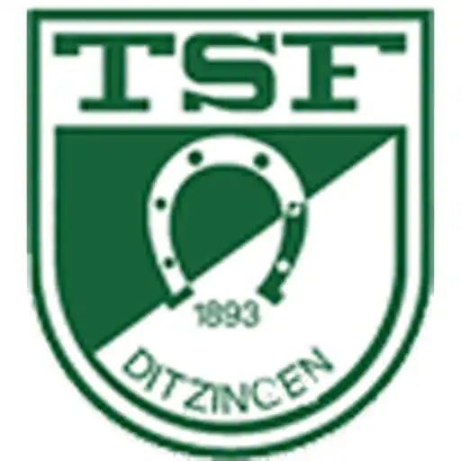 Play TSF Ditzingen APK Play TSF Ditzingen APK