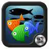 Free play online TSF Shell Pendant - Fish  APK