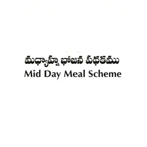 Play TS MDM APK Play TS MDM APK