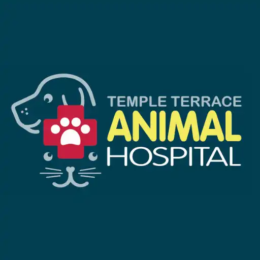 Play TTAH Tampa Bay APK