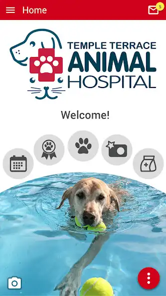 Play TTAH Tampa Bay  and enjoy TTAH Tampa Bay with UptoPlay