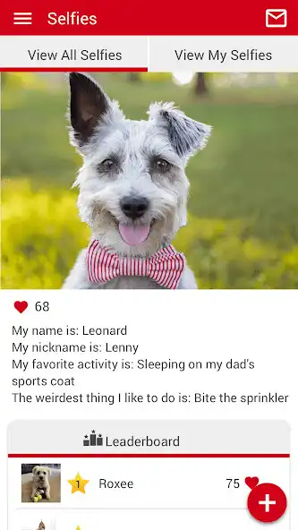 Play TTAH Tampa Bay as an online game TTAH Tampa Bay with UptoPlay