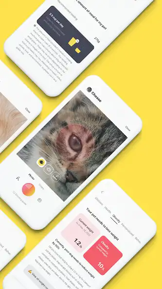 Play TTcare: AI For Pet Healthcare as an online game TTcare: AI For Pet Healthcare with UptoPlay