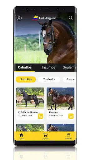 Play TuCaballoApp as an online game TuCaballoApp with UptoPlay