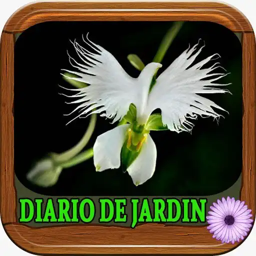 Play Tu Jardin APK Play Tu Jardin APK