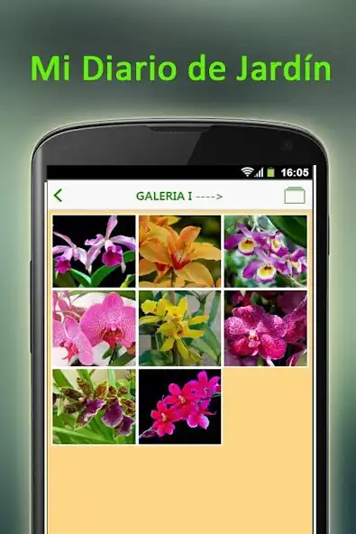 Play Tu Jardin  and enjoy Tu Jardin with UptoPlay