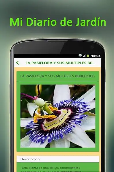 Play Tu Jardin as an online game Tu Jardin with UptoPlay