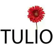 Free play online Tulio APK