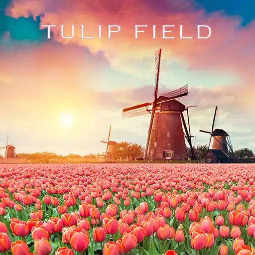Play Tulip Field Theme +HOME APK Play Tulip Field Theme +HOME APK