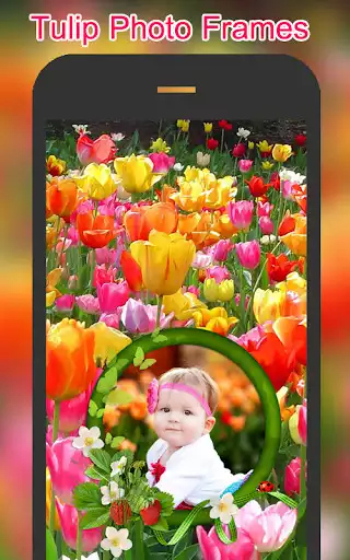 Play Tulip Flower Photo Frames  and enjoy Tulip Flower Photo Frames with UptoPlay