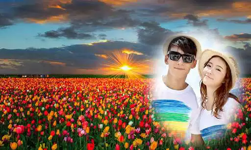 Play Tulip Photo Frames  HD New as an online game Tulip Photo Frames  HD New with UptoPlay
