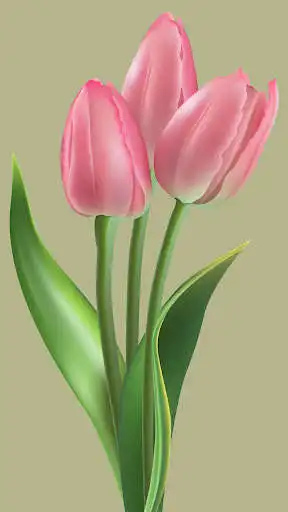 Play Tulips Flower Wallpapers as an online game Tulips Flower Wallpapers with UptoPlay