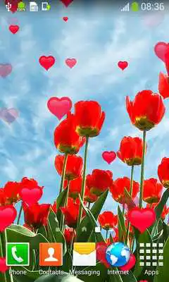 Play Tulips Live Wallpapers