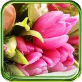 Free play online Tulips Pink and Red APK