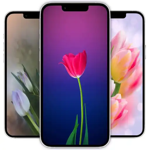 Play Tulips Wallpaper APK Play Tulips Wallpaper APK
