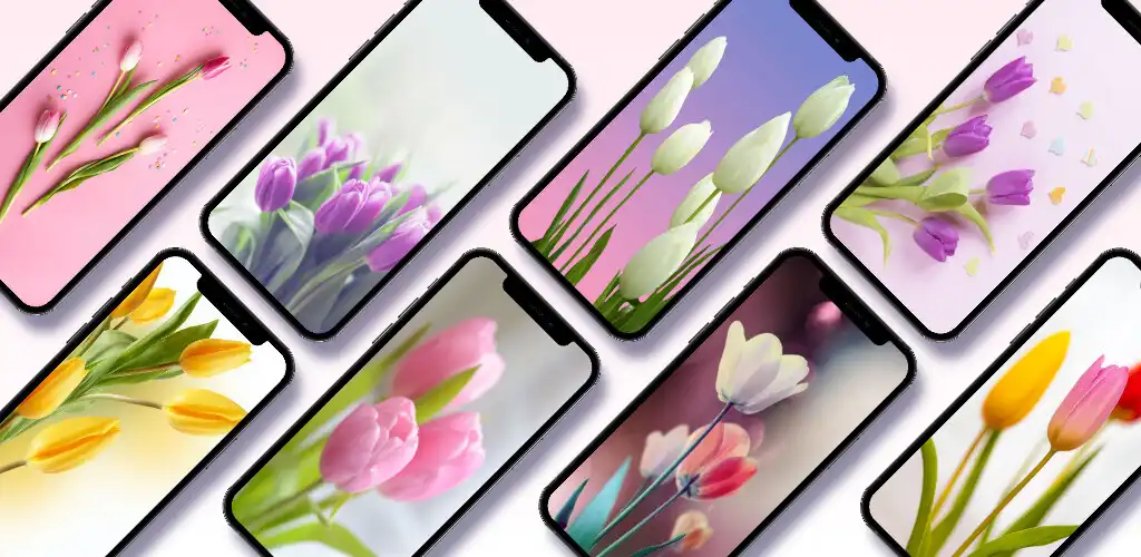 Play Tulips Wallpaper  and enjoy Tulips Wallpaper with UptoPlay