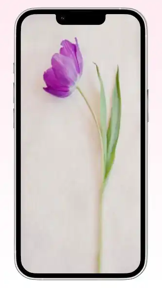Play Tulips Wallpaper as an online game Tulips Wallpaper with UptoPlay
