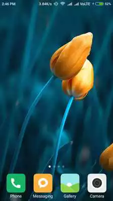 Play Tulips Wallpapers