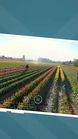 Play Tulip Town 360 Tour as an online game Tulip Town 360 Tour with UptoPlay