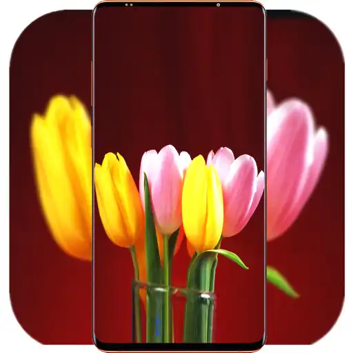 Play Tulip Wallpaper HD APK Play Tulip Wallpaper HD APK