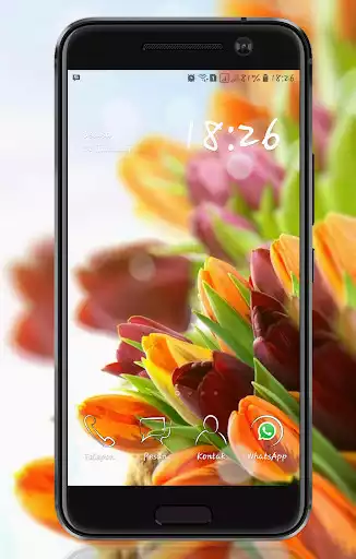 Play Tulip Wallpaper  and enjoy Tulip Wallpaper with UptoPlay