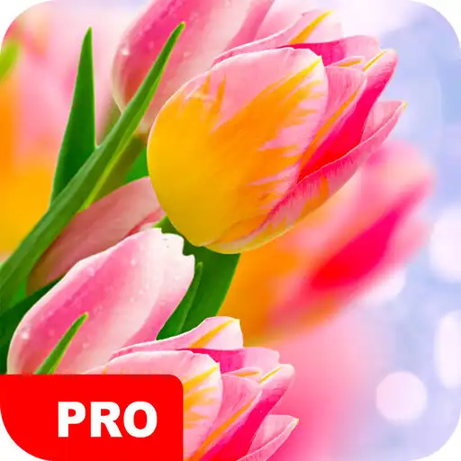 Play Tulip Wallpapers PRO APK