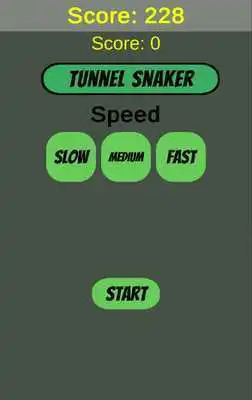 Play Tunnel Snaker