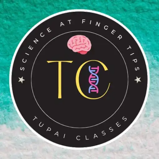 Play Tupai Classes APK