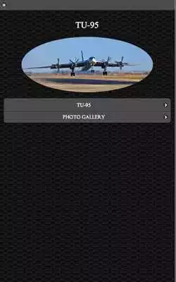 Play Tupolev Tu-95 FREE