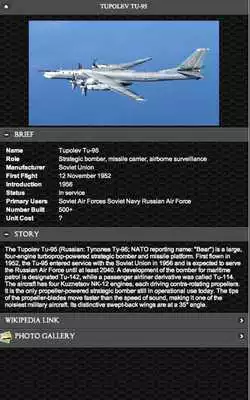 Play Tupolev Tu-95 FREE