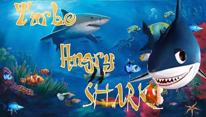 Play Turbo Angry Shark Fish
